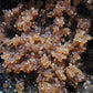 Tobacco Vanilla Brown Sugar Scrub